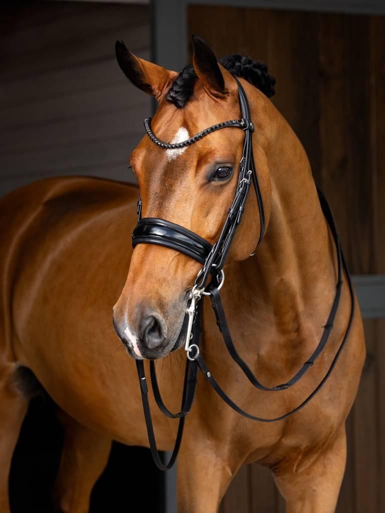 Leather Bridle & Reins